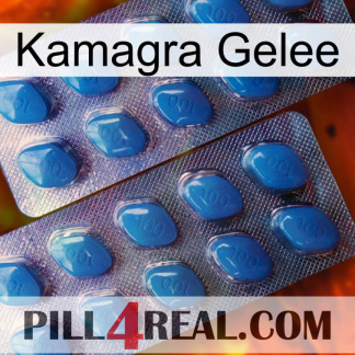 Kamagra Jelly viagra2